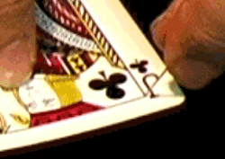 Table Triple False Cut
